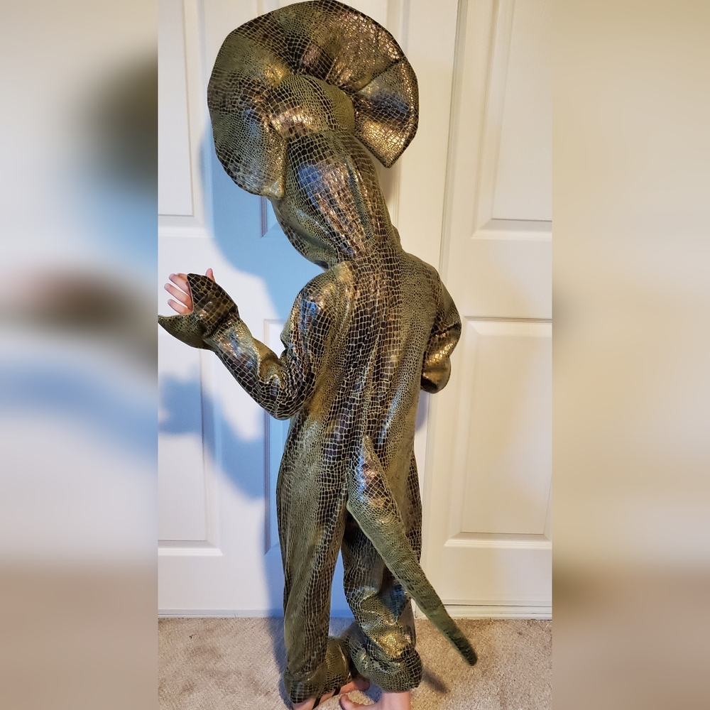 Triceratops Costume